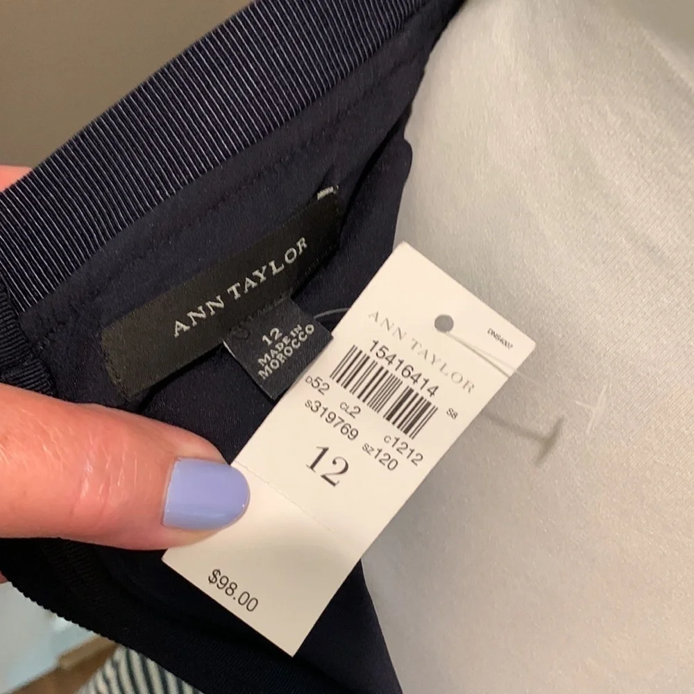 Ann Taylor NWT skirt size 12